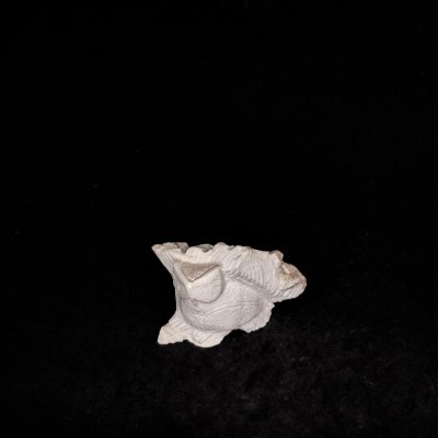 Baykuş Figürlü Lületaşı Biblo - BBL11